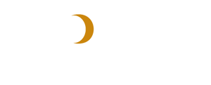 Noesis Capital Advisors Logo