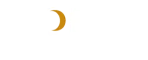 NOESIS-Logo-white
